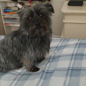 Meet your Posher, Devin